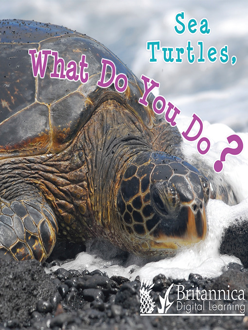 Title details for Sea Turtles, What Do You Do? by Holly Karapetkova - Available
